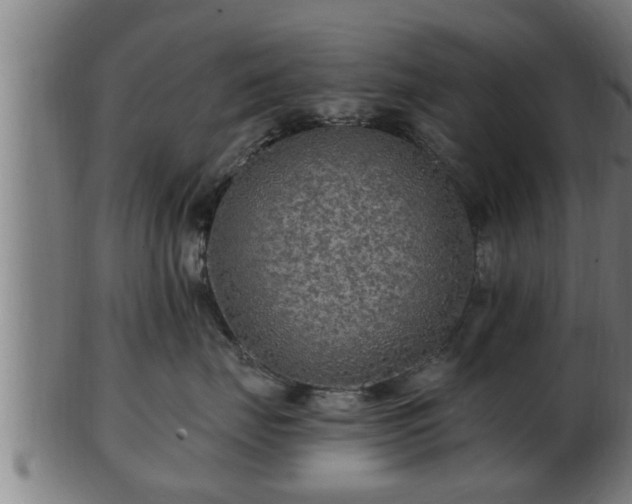 X0000103320671200809121149