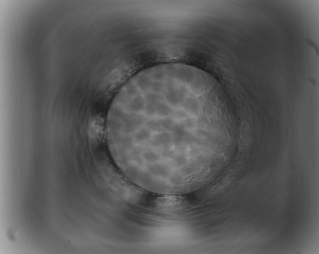 X0000103320672200809121149