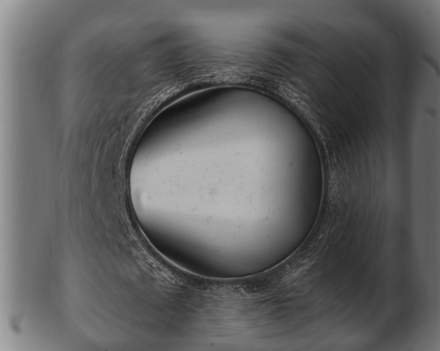 X0000103320673200809121148