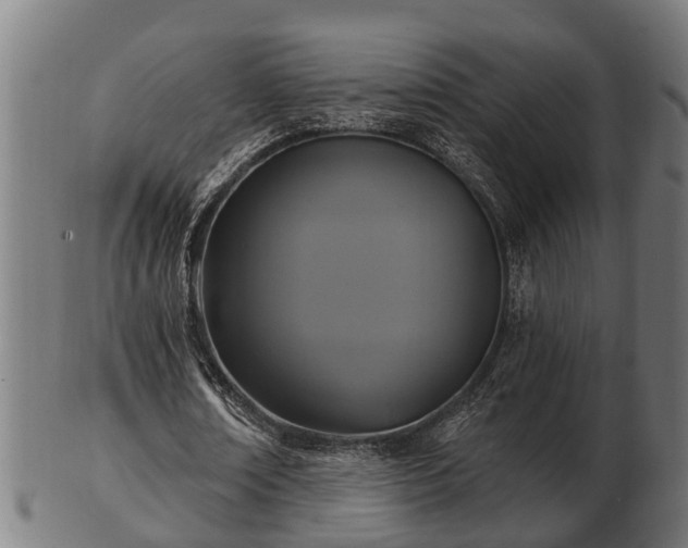 X0000103320674200809121148