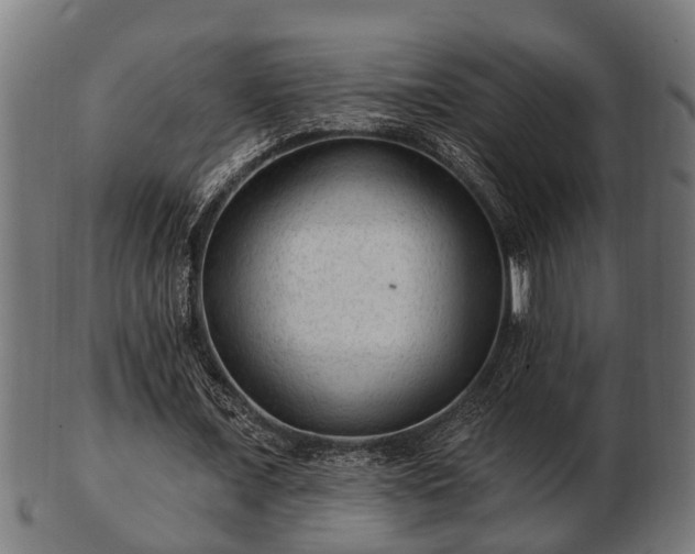 X0000103320675200809121148