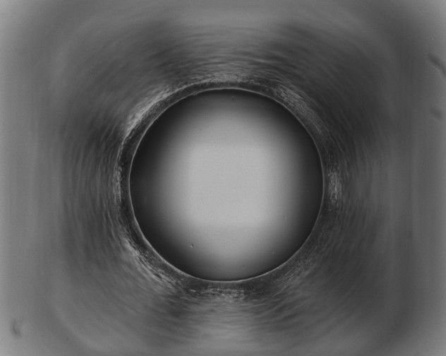 X0000103320676200809121148