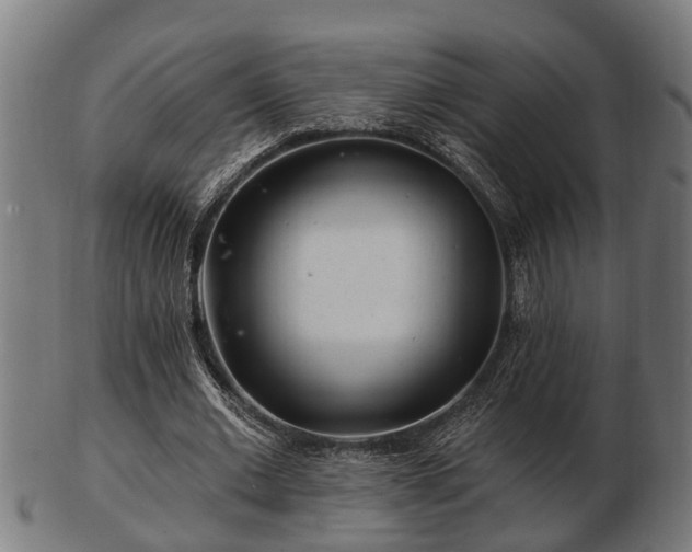 X0000103320677200809121148