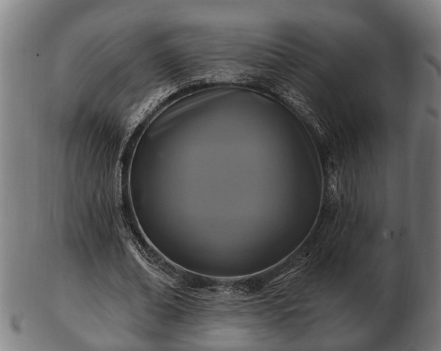 X0000103320678200809121148