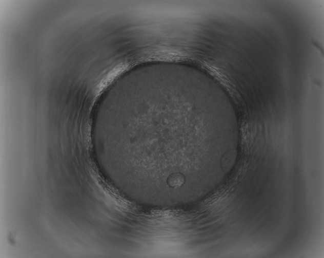 X0000103320679200809121148