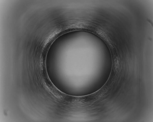 X0000103320680200809121148