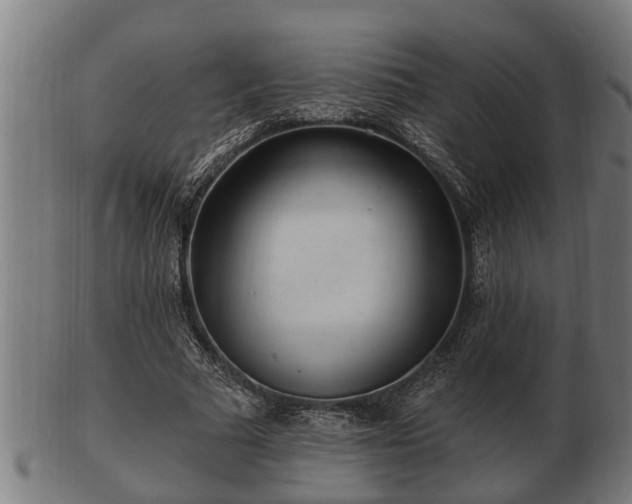 X0000103320681200809121148