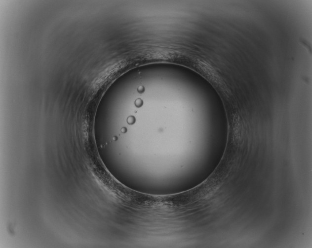 X0000103320683200809121148