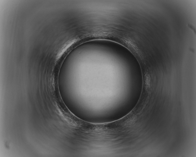 X0000103320684200809121148