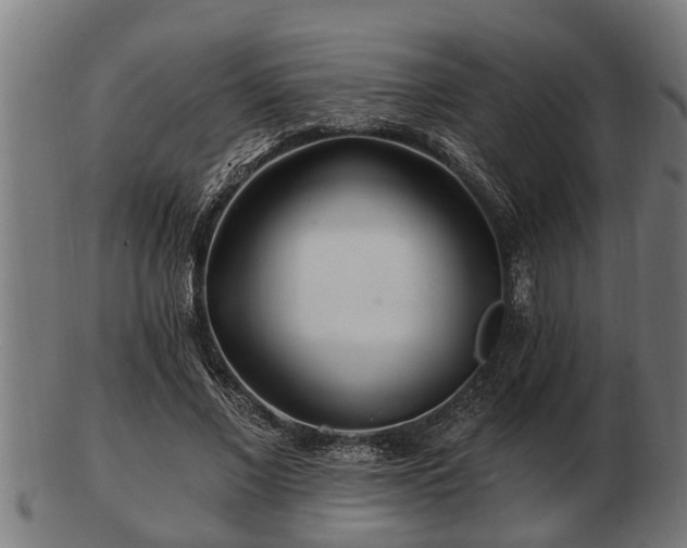 X0000103320685200809121148