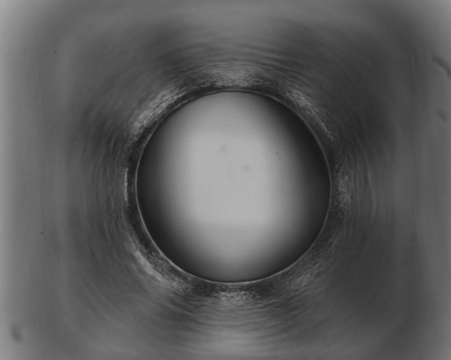 X0000103320686200809121148