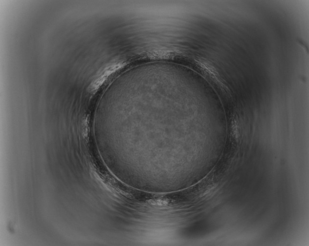 X0000103320687200809121148