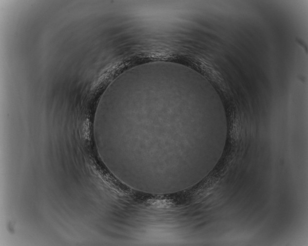 X0000103320689200809121148