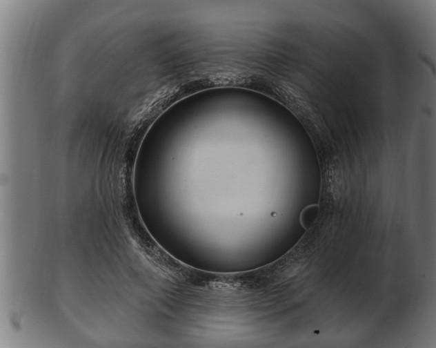 X0000103320690200809121148