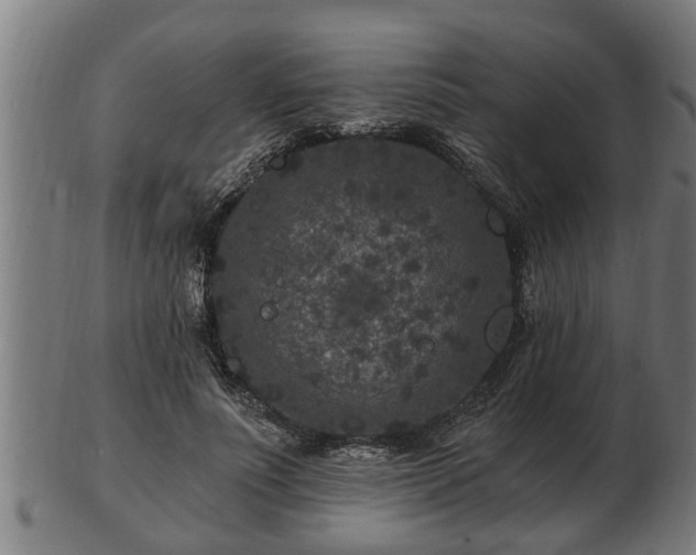 X0000103320691200809121148