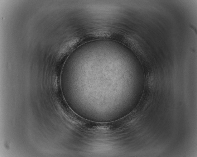 X0000103320692200809121148