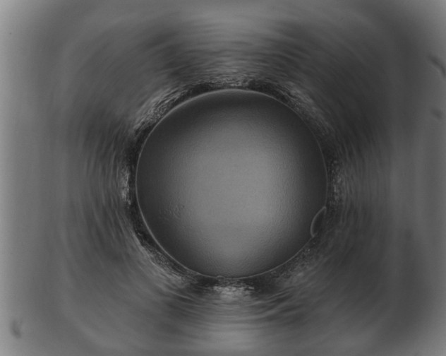 X0000103320693200809121148