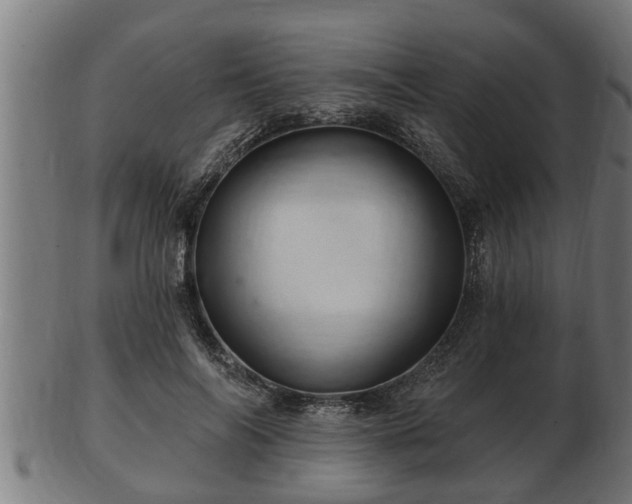 X0000103320694200809121148