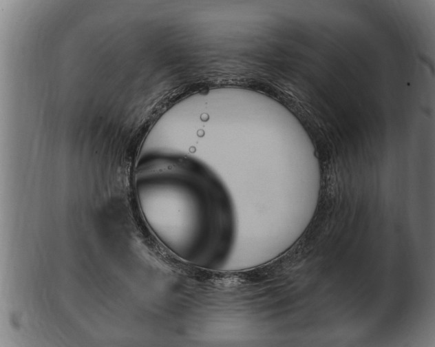 X0000103320695200809121148