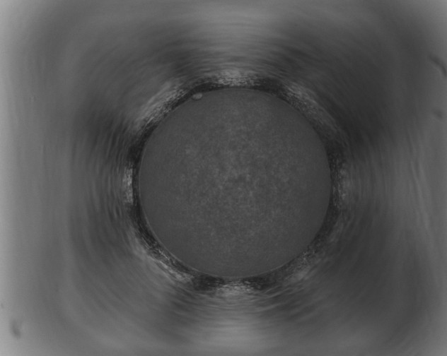 X0000103320696200809121148