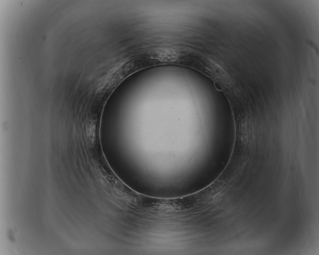 X0000103320697200809121148