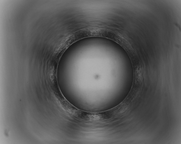 X0000103320698200809121148