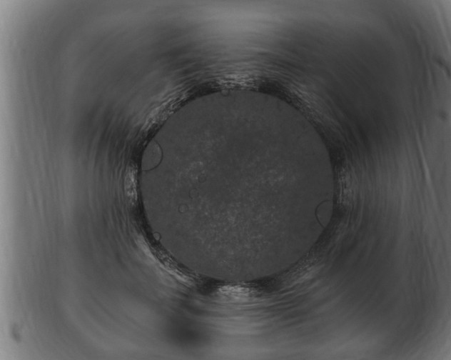 X0000103320699200809121148