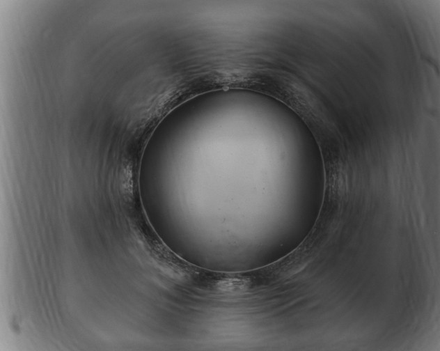 X0000103320700200809121148