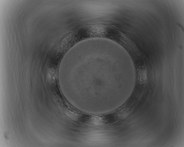 X0000103320701200809121148