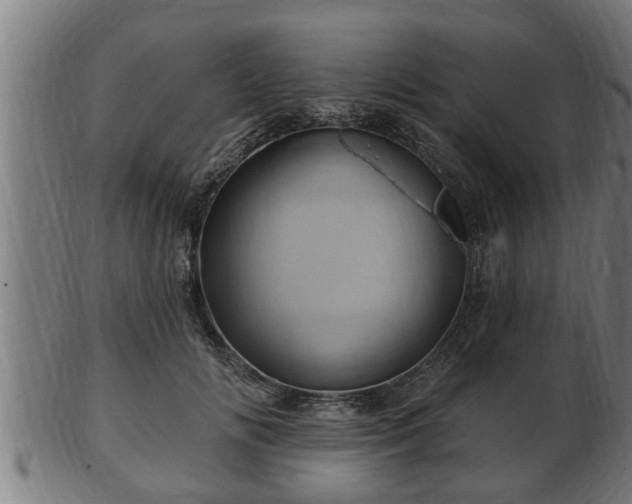 X0000103320702200809121148