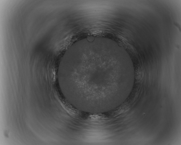 X0000103320703200809121148