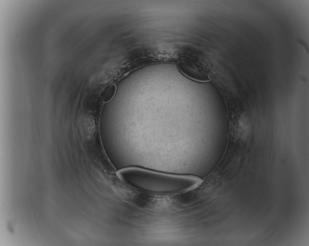 X0000103320704200809121148