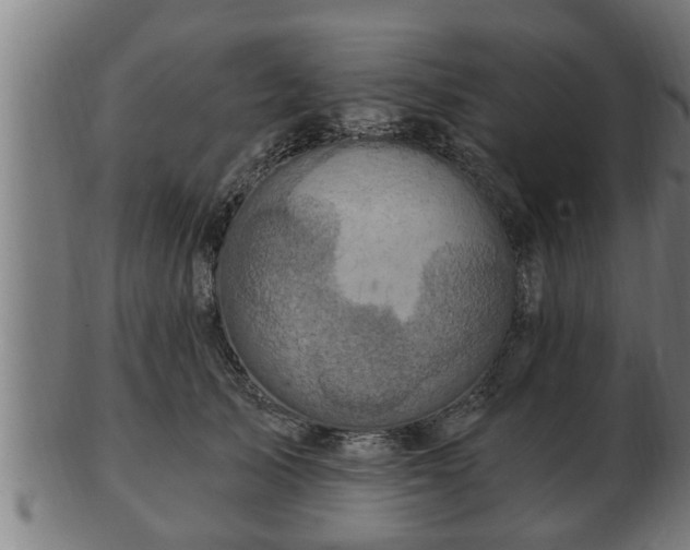 X0000103320705200809121148