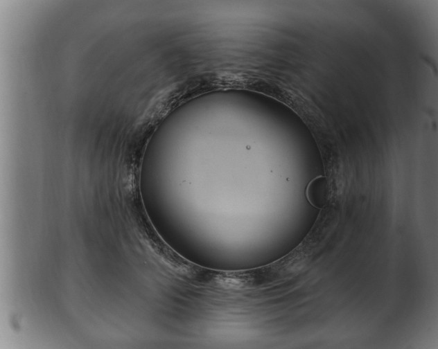 X0000103320706200809121148