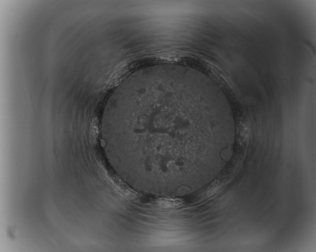 X0000103320707200809121148