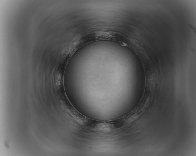 X0000103320708200809121148