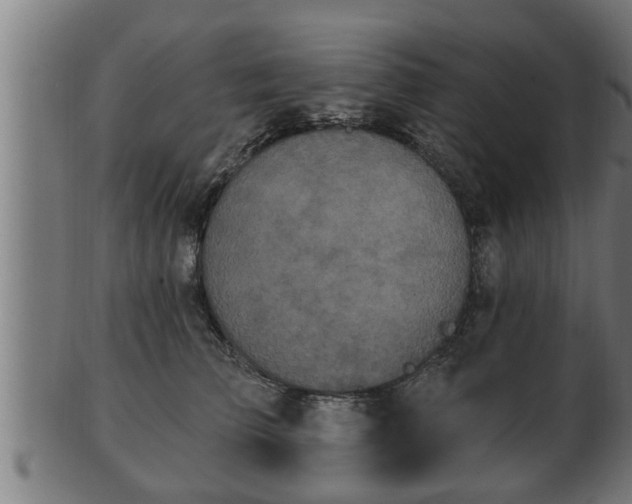 X0000103320709200809121148