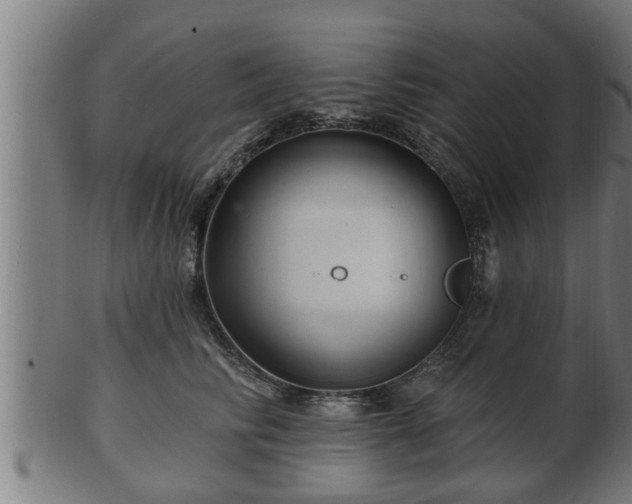 X0000103320710200809121148