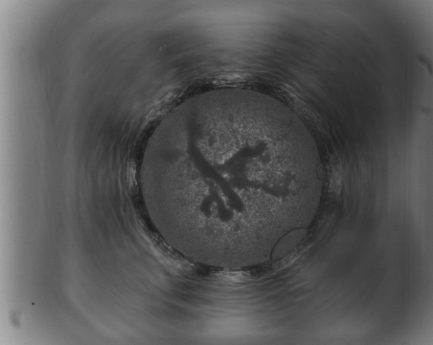 X0000103320711200809121148