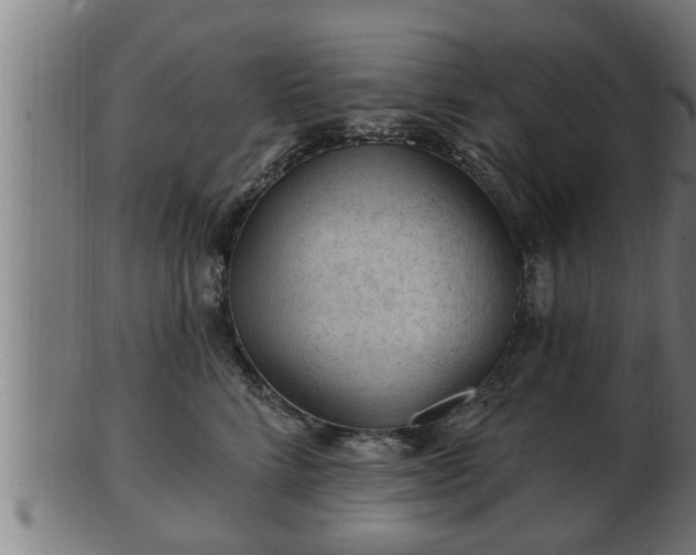 X0000103320712200809121148