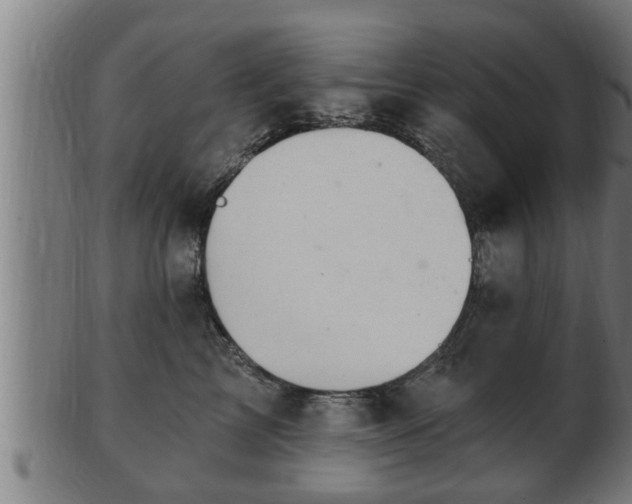 X0000103320713200809121148