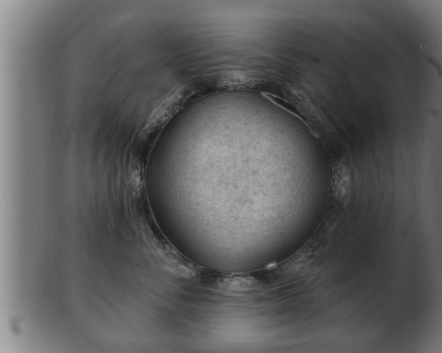 X0000103320716200809121148