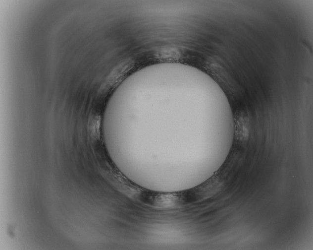 X0000103320717200809121148