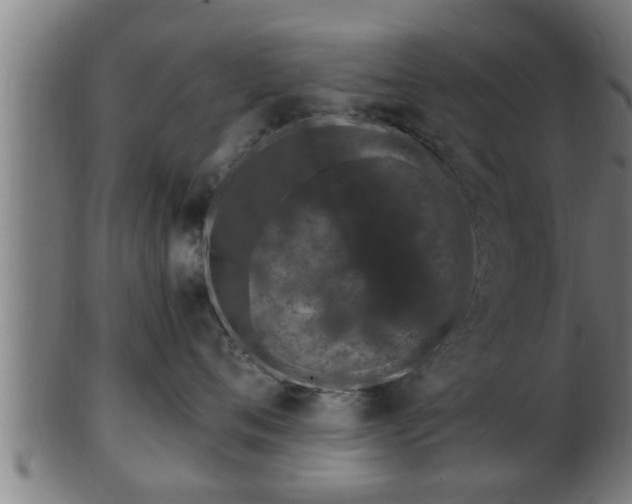 X0000103320720200809121148