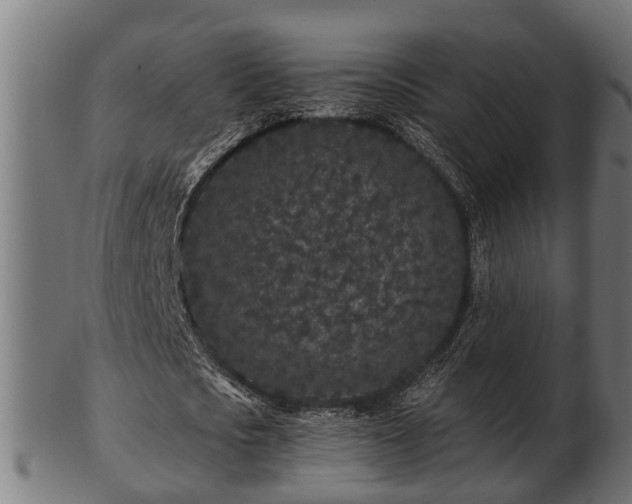 X0000103320721200809121147