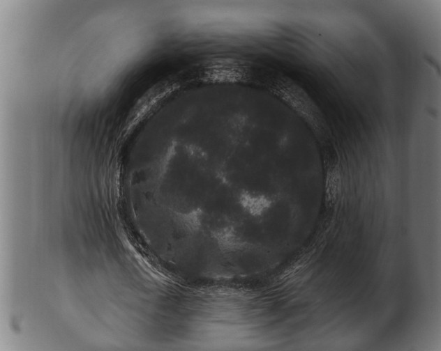 X0000103320722200809121147