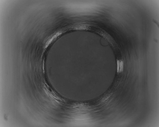 X0000103320723200809121147