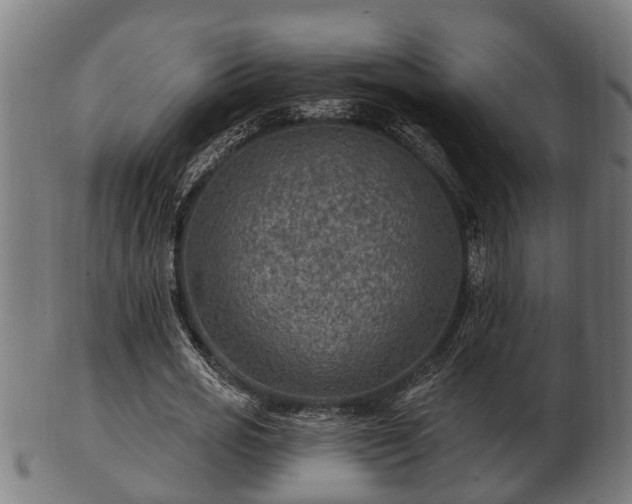 X0000103320725200809121147