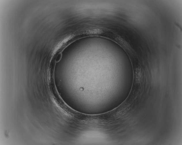 X0000103320726200809121147