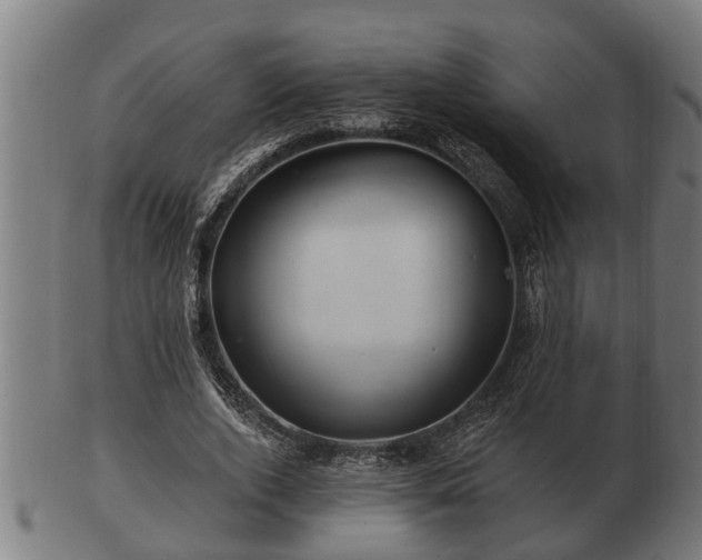 X0000103320728200809121147